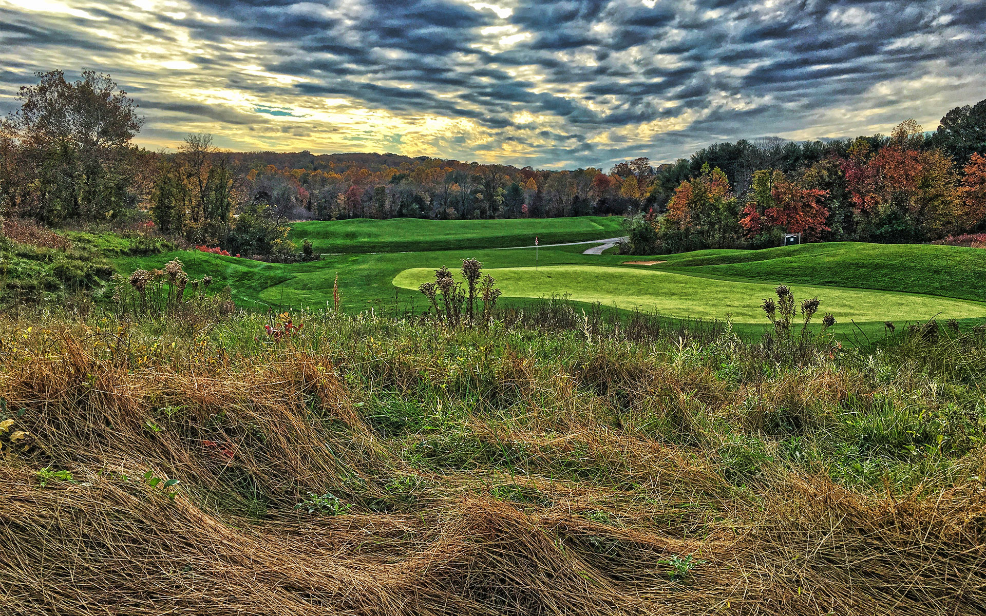 Apt Charlotte Amateur Players Tour