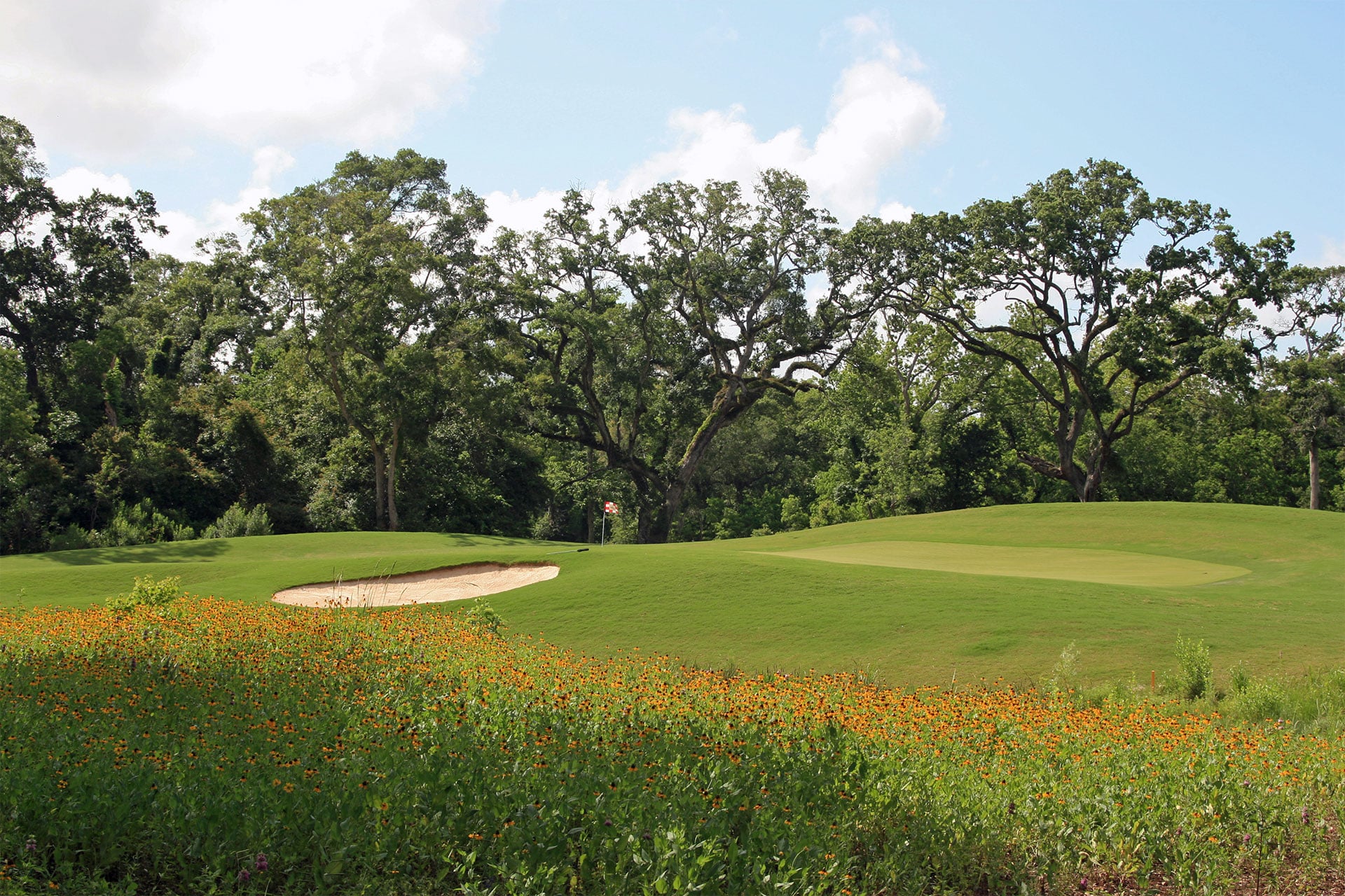 Amateur Players Wilderness at Lake Jackson