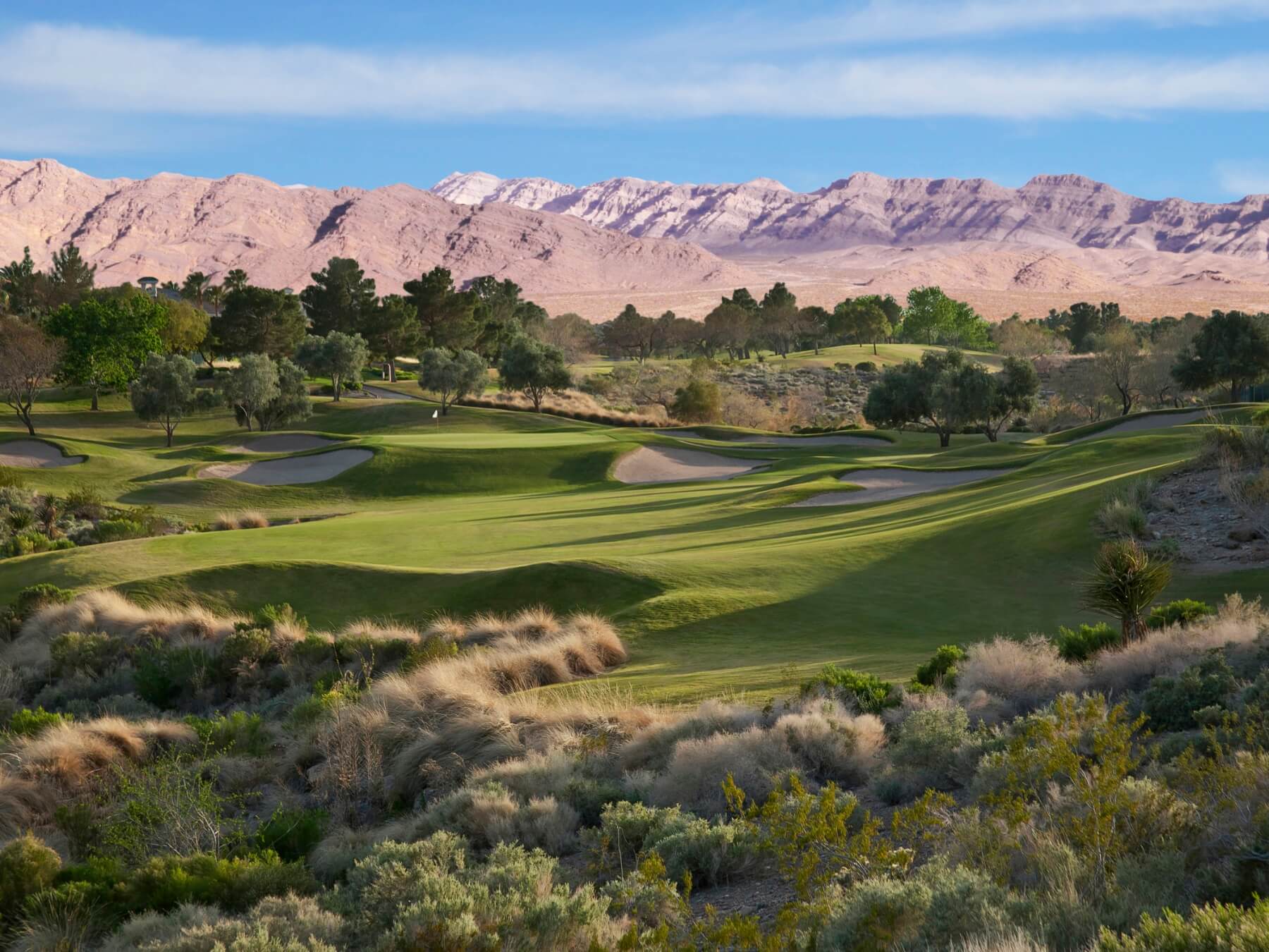 Las Vegas Amateur Players Tour