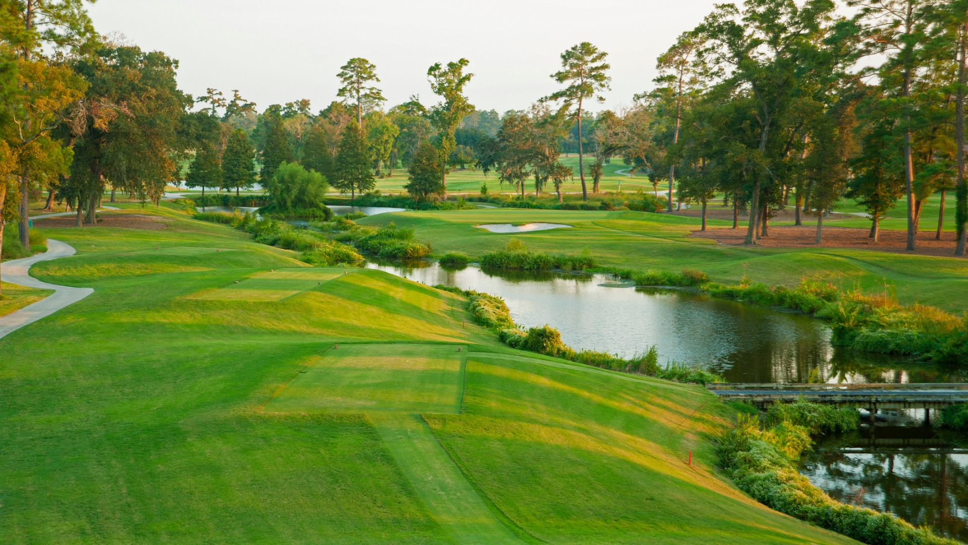 Amateur Players Tour Houston