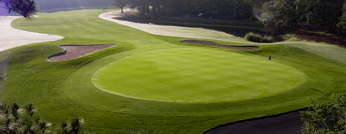 amateur players tour golf tournament