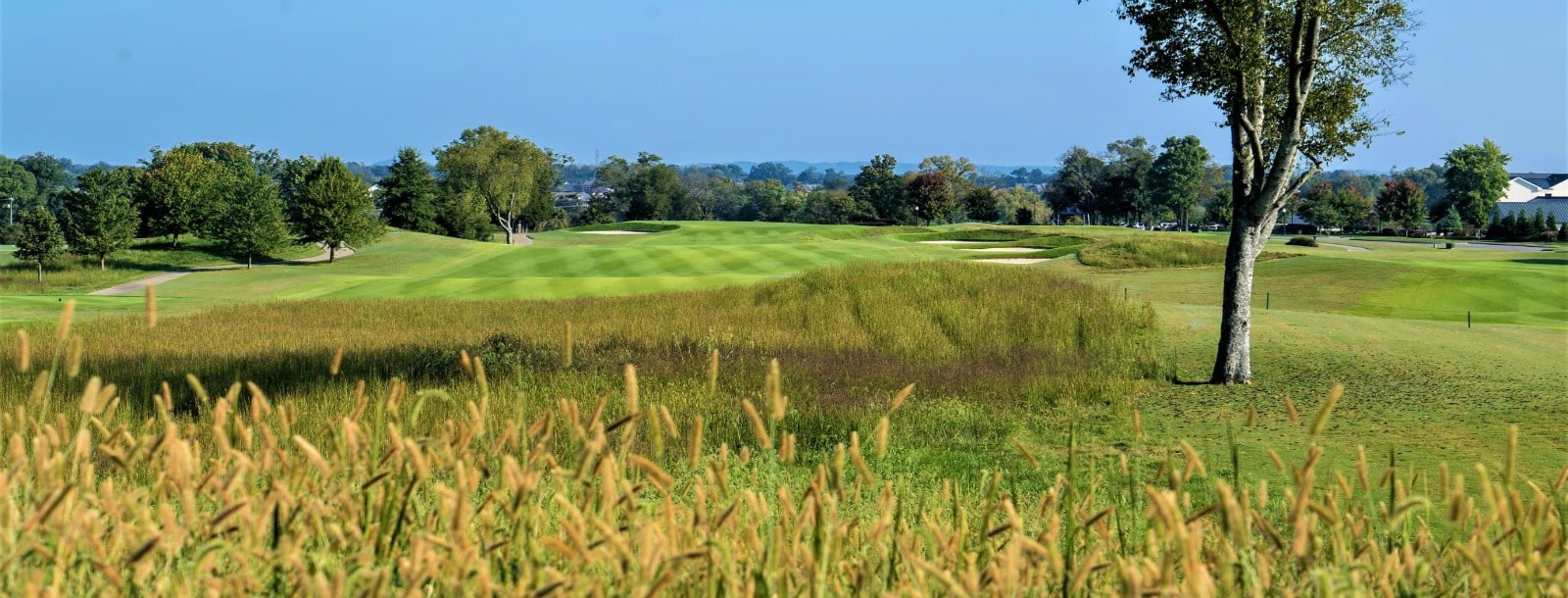 amateur players tour golf tournament