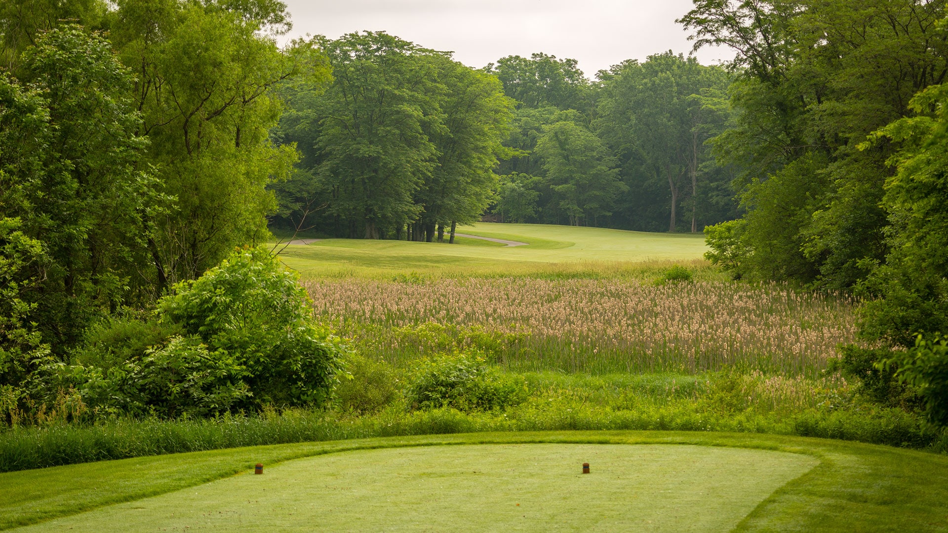 amateur players tour golf tournament