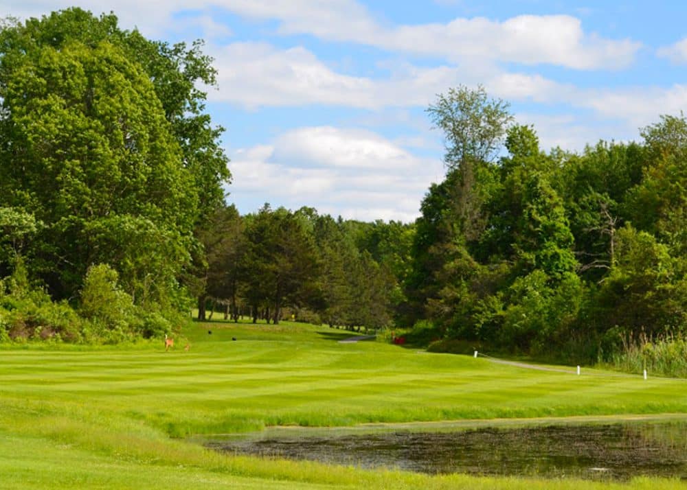 amateur players tour golf