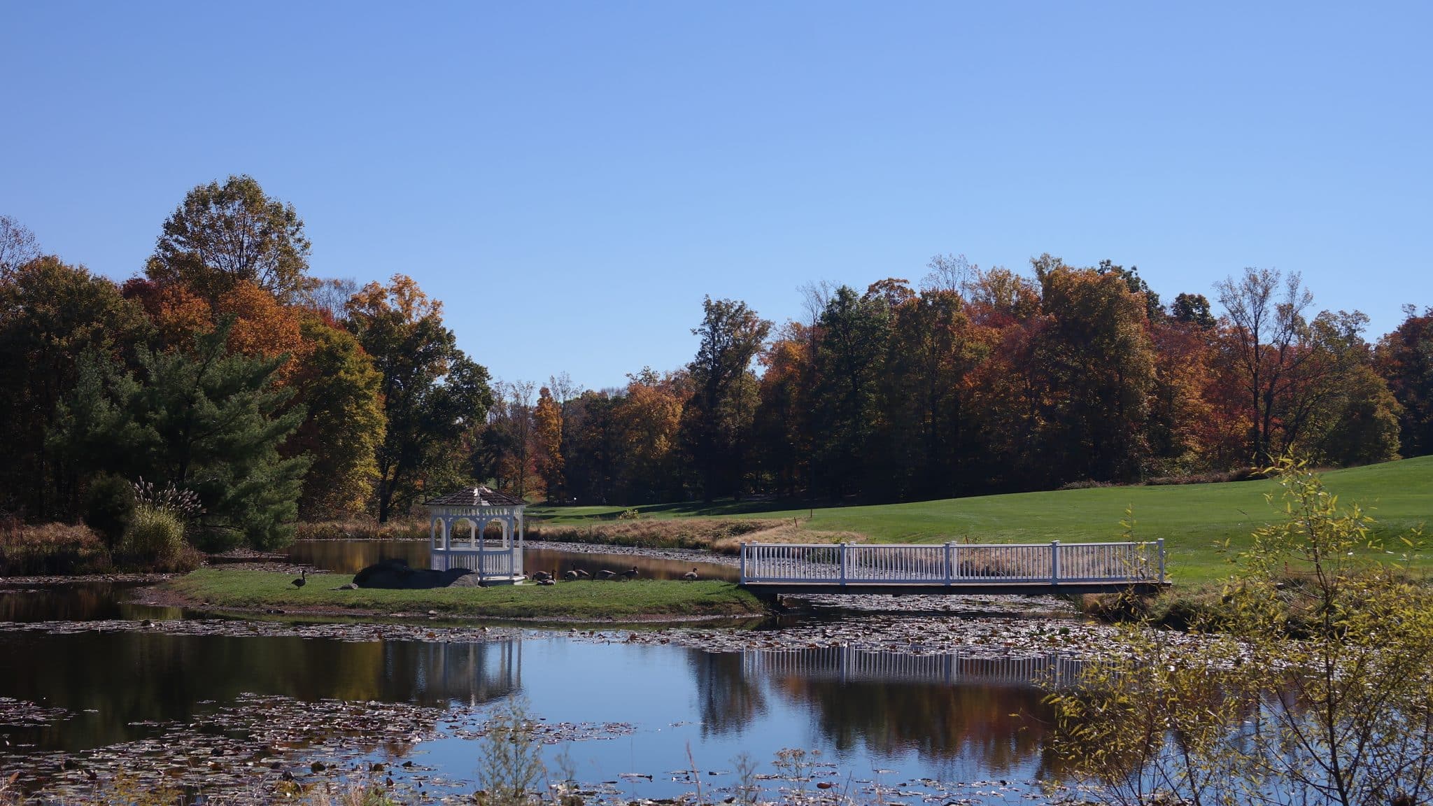 Featured image for “https://aptgolf.org/wp-content/uploads/2024/08/Mountain-Branch-Golf-Course-scaled.jpeg”