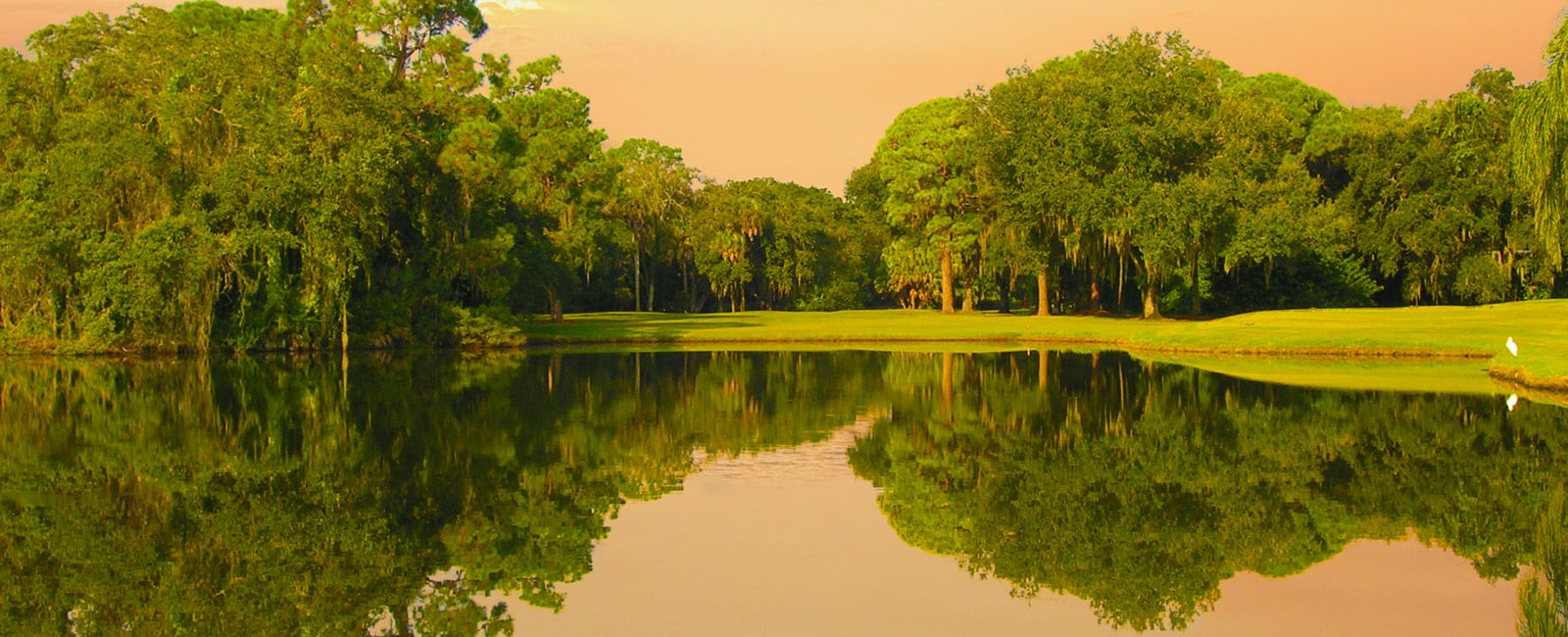 Featured image for “https://aptgolf.org/wp-content/uploads/2024/08/The-Meadows-CC.jpg”