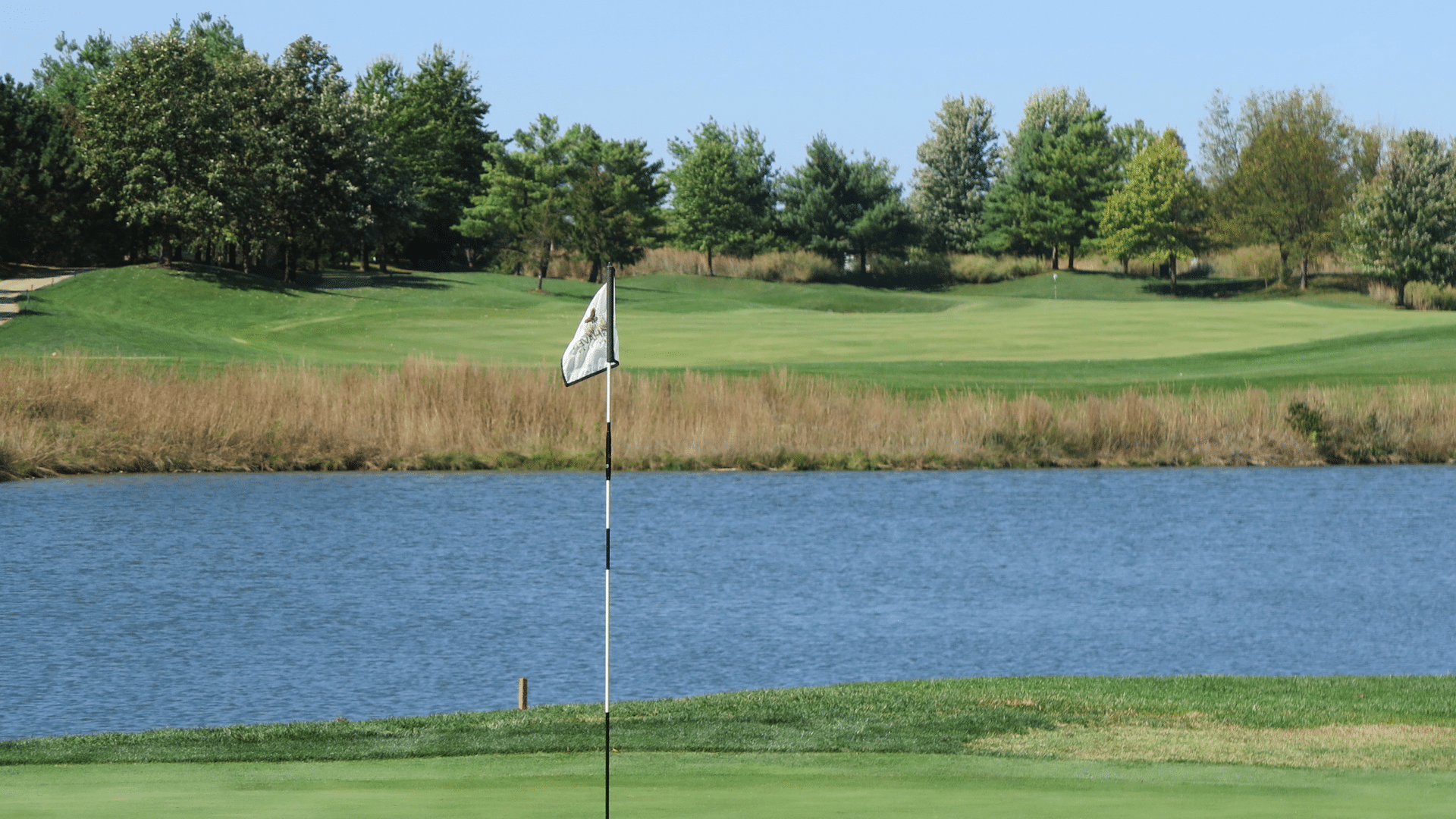Featured image for “2025 St. Louis WingHaven Country Club Tournament Results”