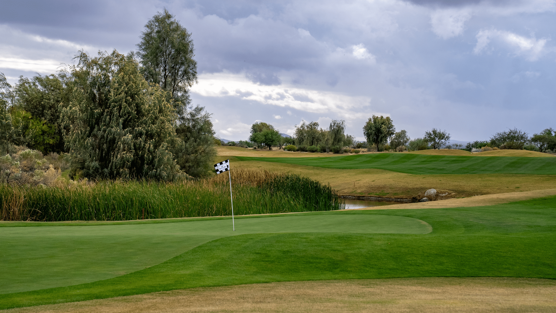 Featured image for “https://aptgolf.org/wp-content/uploads/2025/11/Sewailo-Web.png”