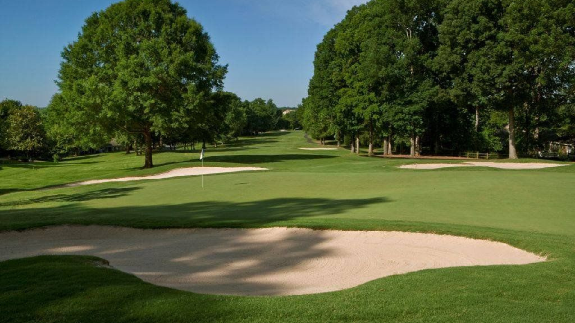 Featured Image For “2026 Triad Bermuda Run”