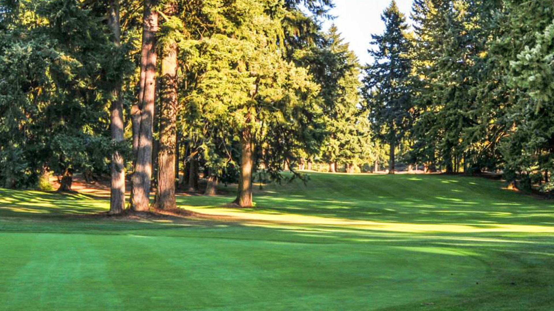 Featured Image For “2026 Por Glendoveer Gc”