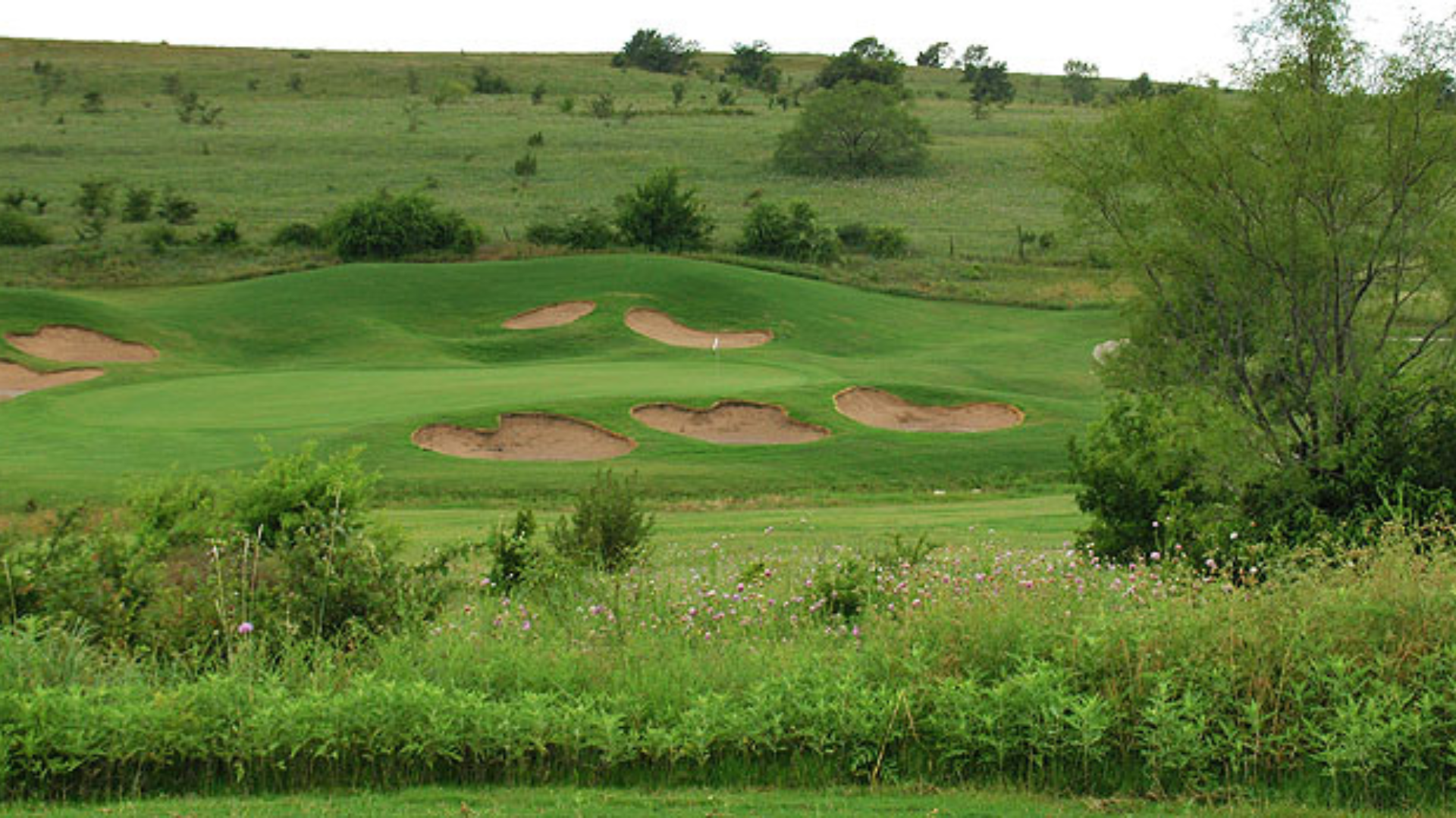 Featured image for “https://aptgolf.org/wp-content/uploads/2026/05/WhiteStoneDFW.png”