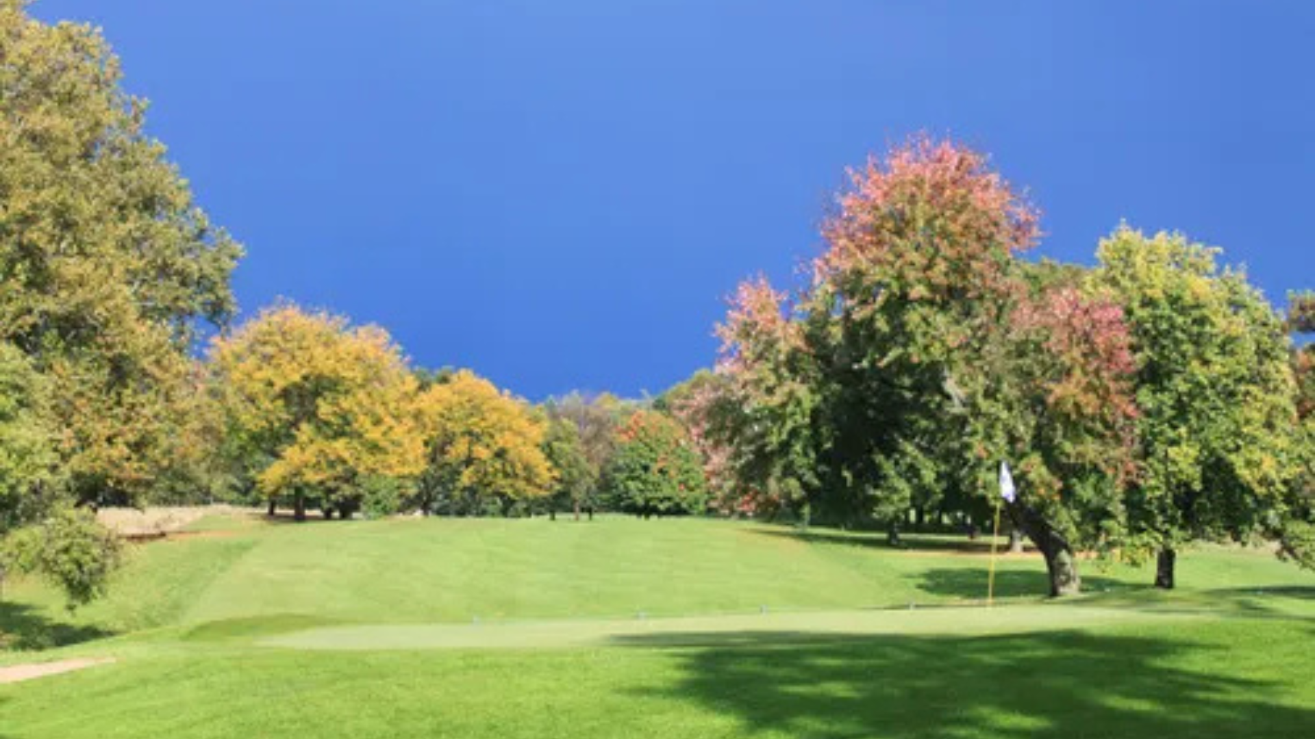Amateur-Golf-Tour 43 Featured Image For “2026 Mi Milham Park Gc”