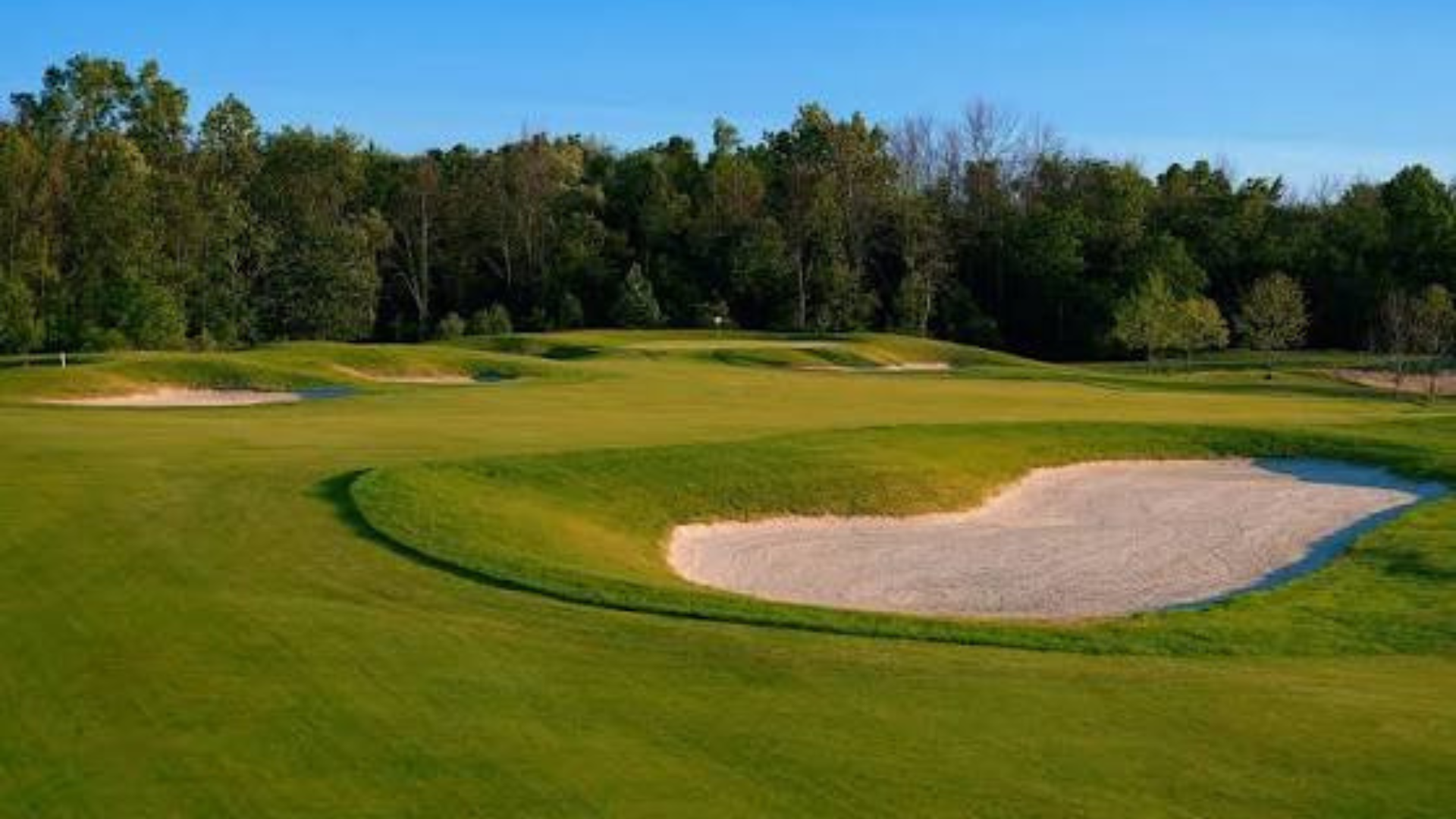 Featured image for “2026 MI Local Finals at Pheasant Run”